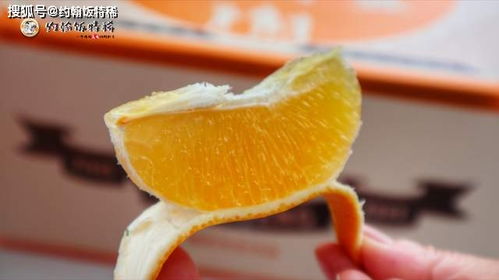 熊貓指南秋季榜 4種水果入選個個是精品，最后一個大有來頭